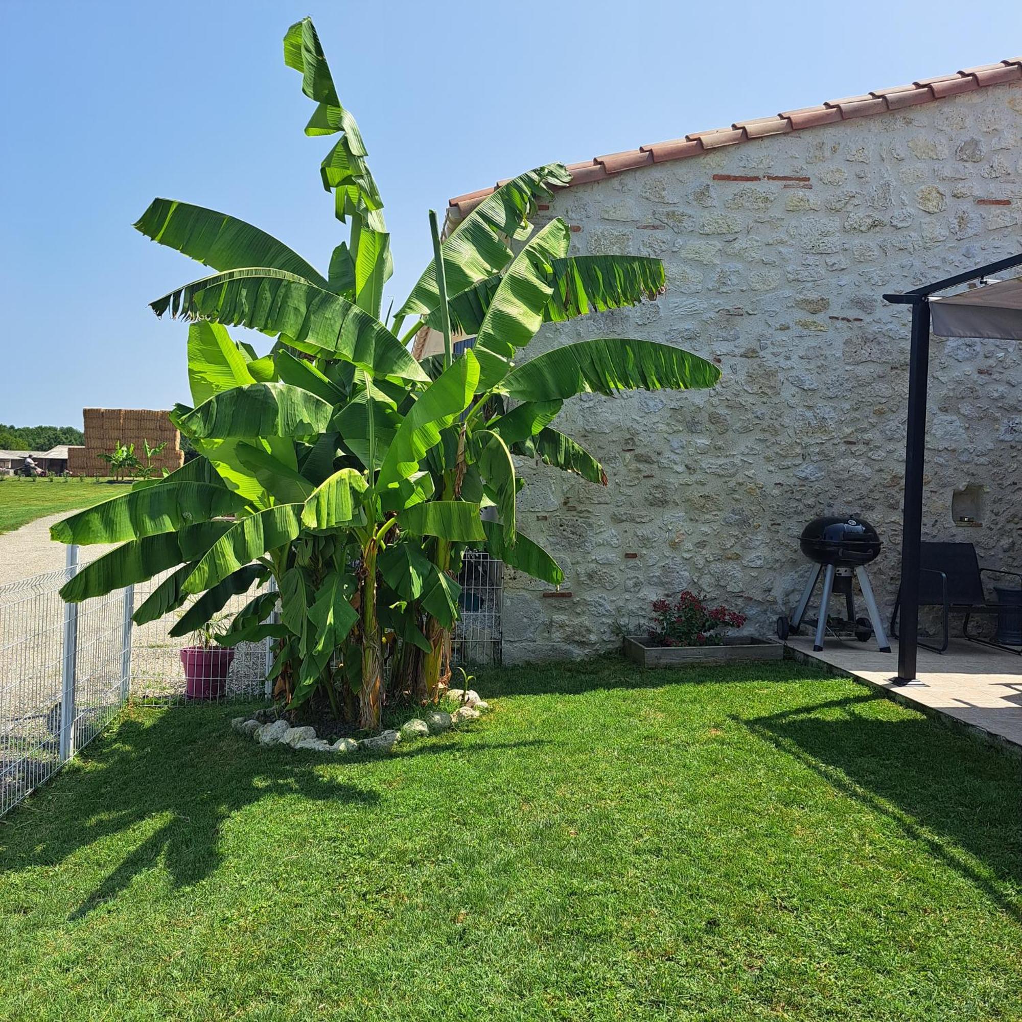 Villa Le Domaine Vesque à Saint-Pierre-de-Clairac Extérieur photo